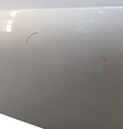 Porte avant gauche RENAULT LATITUDE Photo n°3