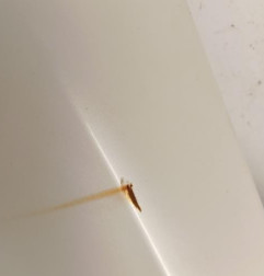 Aile avant gauche DS DS4 1