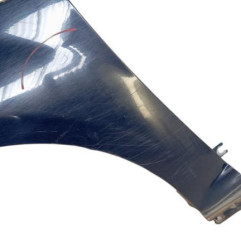 Aile avant gauche DACIA SANDERO 1