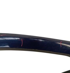 Porte avant droit DACIA SANDERO 1 Photo n°3