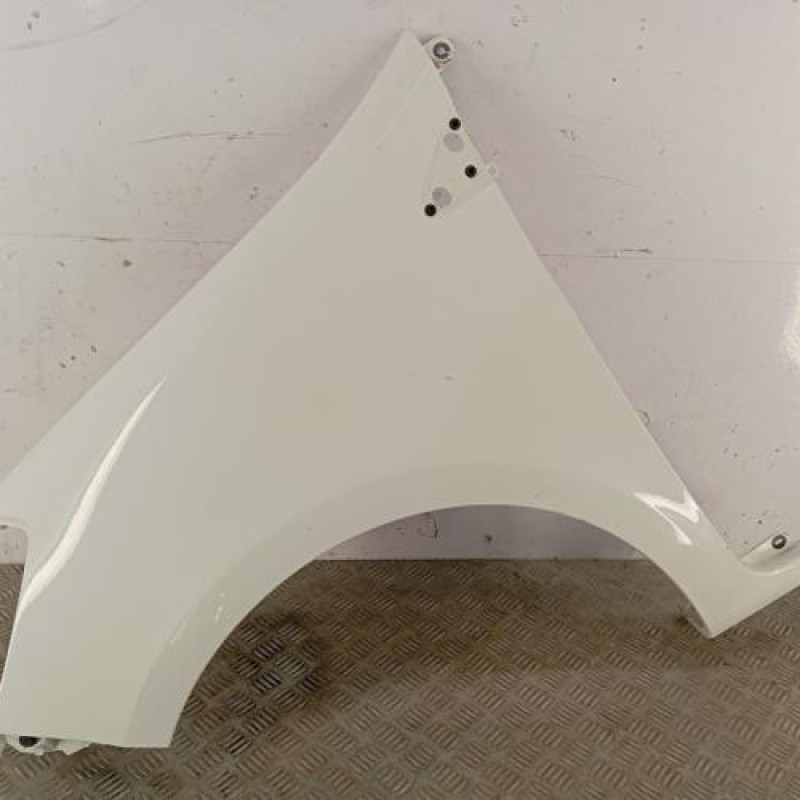 Aile avant gauche RENAULT CLIO 3