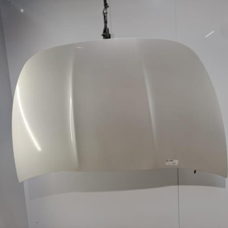 Capot CITROEN DS5 Photo n°1