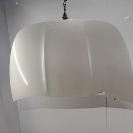 Capot CITROEN DS5