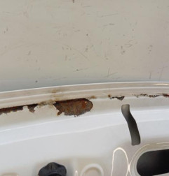 Capot CITROEN BERLINGO 2 Photo n°5