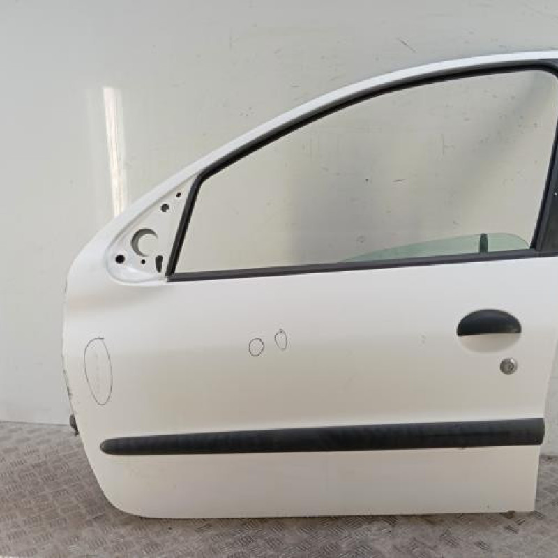 Porte avant gauche PEUGEOT 206