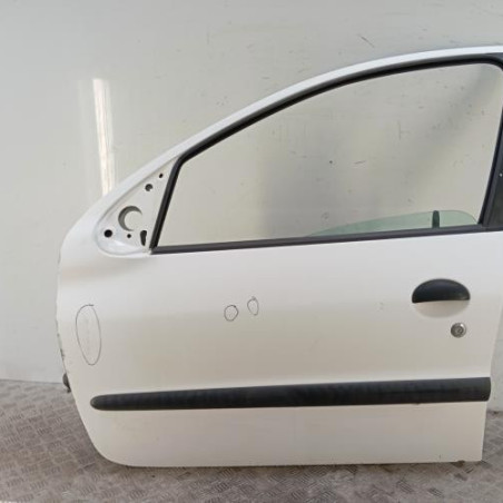 Porte avant gauche PEUGEOT 206 Photo n°1