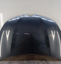 Capot RENAULT CLIO 5 Photo n°1