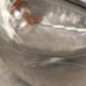Optique avant principal droit (feux)(phare) RENAULT CLIO 2 CAMPUS