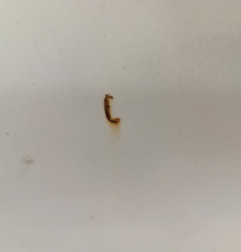 Porte de coffre droit CITROEN JUMPER 2 Photo n°4