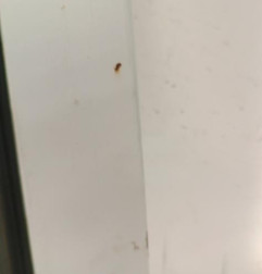 Porte de coffre droit CITROEN JUMPER 2 Photo n°6