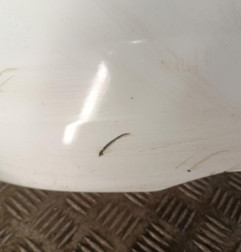 Pare choc arriere RENAULT CLIO 2 CAMPUS Photo n°3