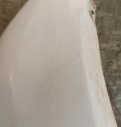 Pare choc arriere RENAULT CLIO 2 CAMPUS Photo n°5