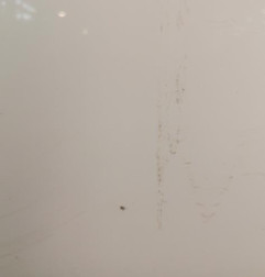 Porte avant gauche PEUGEOT 107 Photo n°3