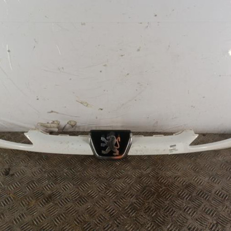 Calandre PEUGEOT 206 Photo n°1