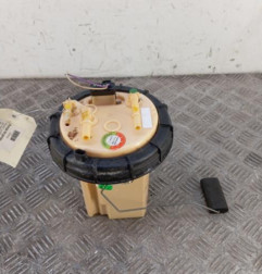 Pompe de gavage PEUGEOT 308 1 Photo n°1