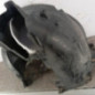 Pare boue avant gauche PEUGEOT 308 2 SW