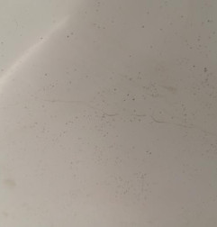 Aile avant gauche CITROEN SAXO