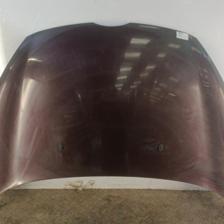 Capot FORD FIESTA 6 Photo n°1