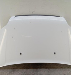 Capot FORD TRANSIT CONNECT 1 Photo n°1