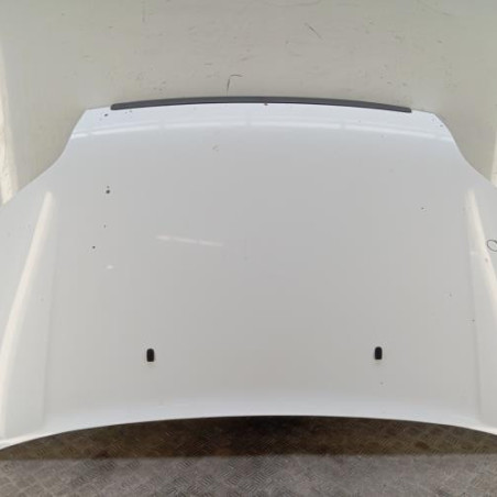 Capot FORD TRANSIT CONNECT 1 Photo n°1