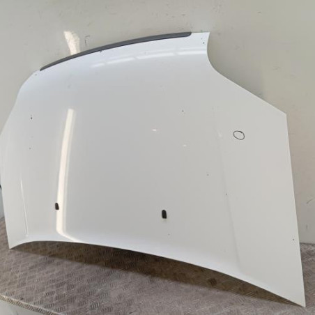Capot FORD TRANSIT CONNECT 1