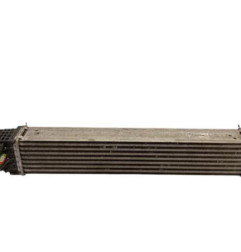 Echangeur air (Intercooler) RENAULT SCENIC 3 Photo n°1