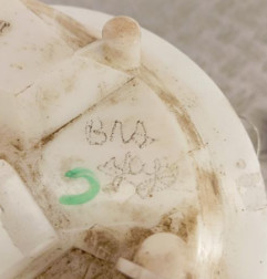 Pompe de gavage RENAULT MEGANE 2 Photo n°4