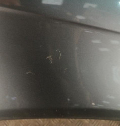 Aile avant droit AUDI A4 2 Photo n°4