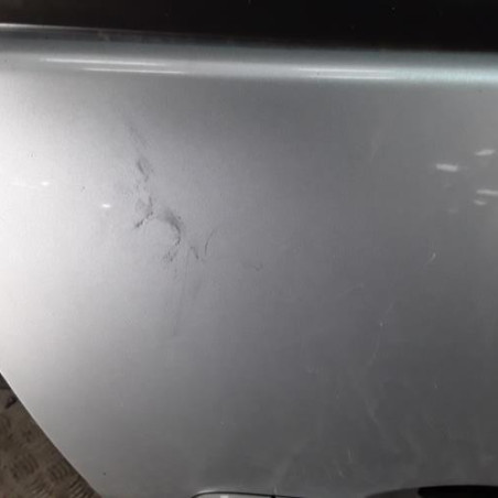 Porte avant droit RENAULT SCENIC 3 Photo n°2