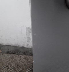 Porte avant droit RENAULT SCENIC 3 Photo n°8