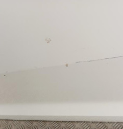 Porte avant gauche KIA SPORTAGE 3 Photo n°6