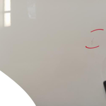 Porte avant gauche RENAULT MASTER 3