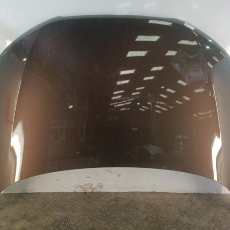 Capot AUDI A1 1 Photo n°1