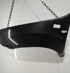 Aile avant gauche DACIA DUSTER 1