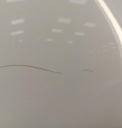 Porte avant droit RENAULT TWINGO 2 Photo n°3