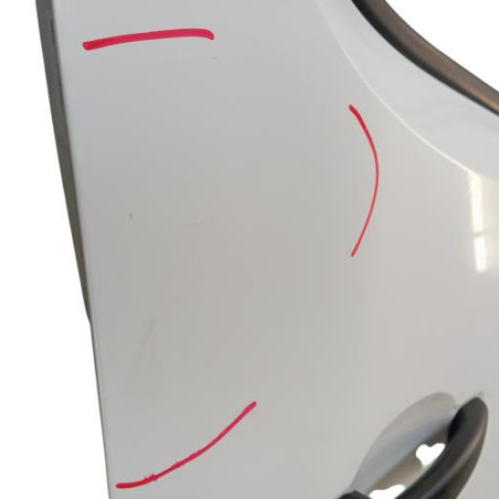 Porte avant droit RENAULT MASTER 3