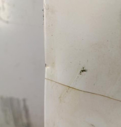 Porte de coffre droit CITROEN JUMPY 2