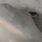 Aile avant droit RENAULT SCENIC 1