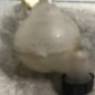 Vase d'expansion CITROEN C4 2