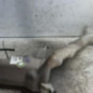 Vase de lave glace SEAT IBIZA 4