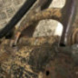 Berceau avant RENAULT R19