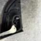 Feu arriere secondaire droit (feux) RENAULT SCENIC 3