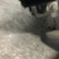 Moteur essuie glace avant PEUGEOT 208 1