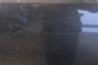 Porte arriere gauche RENAULT SCENIC 2 Photo n°3