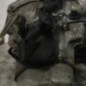 Boite de vitesses PEUGEOT 206