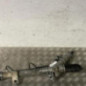 Cremaillere assistee RENAULT TRAFIC 3 COURT