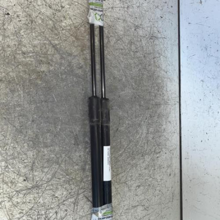 Verin de coffre RENAULT CLIO 3