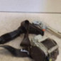 Ceinture avant gauche NISSAN QASHQAI 1