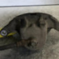 Etrier avant gauche (freinage) NISSAN JUKE 1