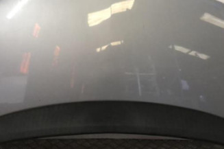 Capot OPEL MERIVA B Photo n°1